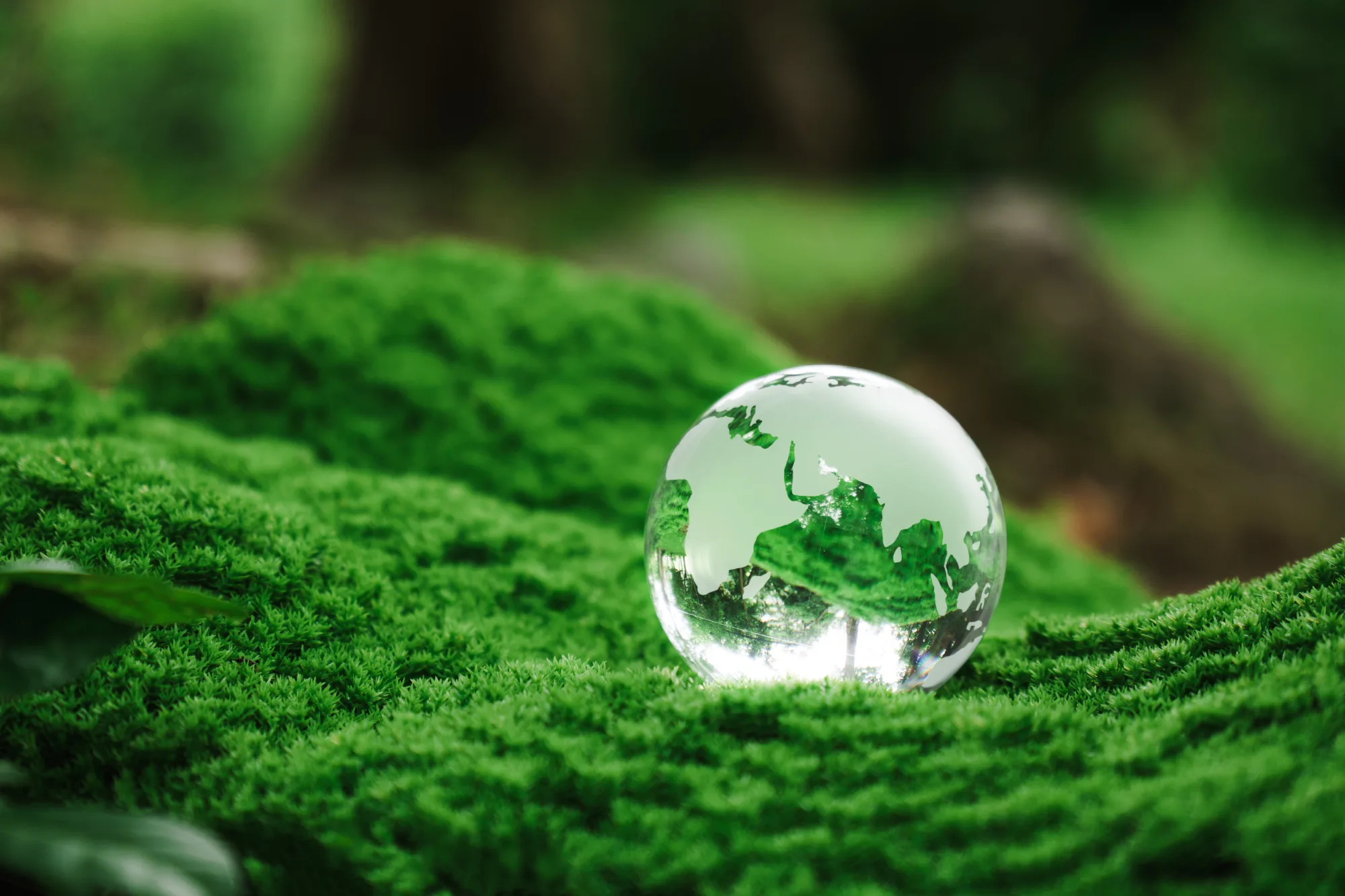 Envirotis