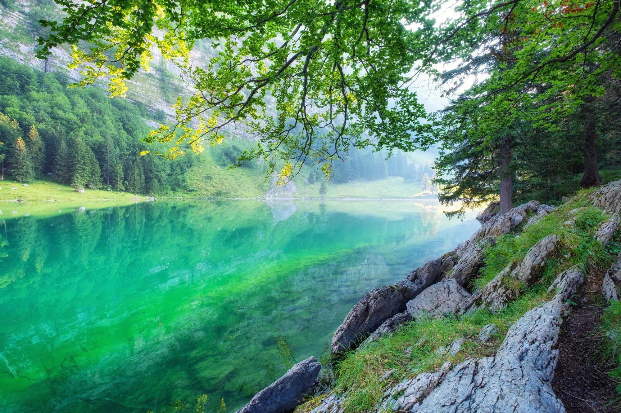 Envirotis